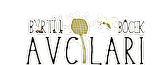 börtü böcek avcıları logo